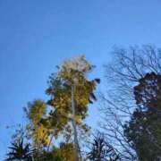 ヒメ日記 2026/02/02 14:13 投稿 りさ 奥様プリモ