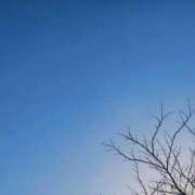 ヒメ日記 2026/02/09 11:09 投稿 りさ 奥様プリモ