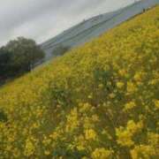 ヒメ日記 2026/02/11 12:19 投稿 りさ 奥様プリモ