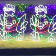 ヒメ日記 2026/02/16 11:09 投稿 りさ 奥様プリモ