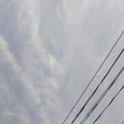 ヒメ日記 2026/02/16 13:09 投稿 りさ 奥様プリモ