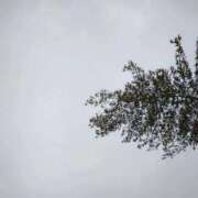 ヒメ日記 2026/02/25 19:19 投稿 りさ 奥様プリモ