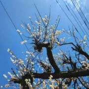 ヒメ日記 2026/02/28 13:19 投稿 りさ 奥様プリモ