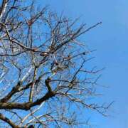 ヒメ日記 2026/02/28 15:09 投稿 りさ 奥様プリモ