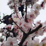 ヒメ日記 2026/03/03 09:09 投稿 りさ 奥様プリモ