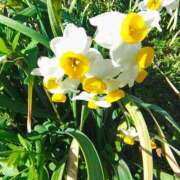 ヒメ日記 2026/03/06 16:19 投稿 りさ 奥様プリモ