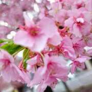 ヒメ日記 2026/03/07 18:09 投稿 りさ 奥様プリモ