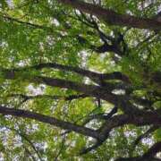 ヒメ日記 2026/03/07 19:19 投稿 りさ 奥様プリモ