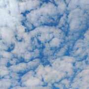 ヒメ日記 2026/03/09 12:19 投稿 りさ 奥様プリモ