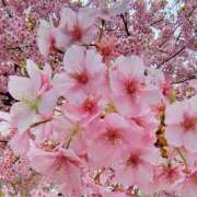 ヒメ日記 2026/03/09 16:09 投稿 りさ 奥様プリモ