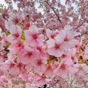 ヒメ日記 2026/03/11 11:09 投稿 りさ 奥様プリモ