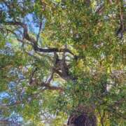 ヒメ日記 2026/03/11 12:09 投稿 りさ 奥様プリモ