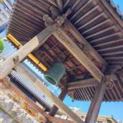 ヒメ日記 2026/03/17 14:19 投稿 りさ 奥様プリモ