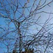 ヒメ日記 2026/03/20 17:09 投稿 りさ 奥様プリモ