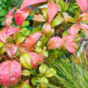 ヒメ日記 2026/03/23 12:09 投稿 りさ 奥様プリモ