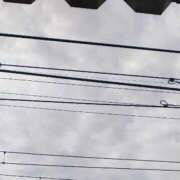 ヒメ日記 2026/03/23 13:09 投稿 りさ 奥様プリモ