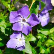 ヒメ日記 2026/03/24 12:19 投稿 りさ 奥様プリモ