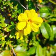 ヒメ日記 2026/03/24 13:09 投稿 りさ 奥様プリモ