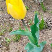 ヒメ日記 2026/03/26 10:09 投稿 りさ 奥様プリモ