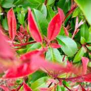 ヒメ日記 2026/03/26 15:09 投稿 りさ 奥様プリモ