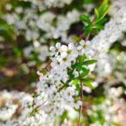 ヒメ日記 2026/03/28 11:19 投稿 りさ 奥様プリモ