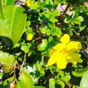 ヒメ日記 2026/03/28 13:19 投稿 りさ 奥様プリモ