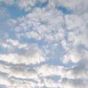 ヒメ日記 2026/03/28 14:10 投稿 りさ 奥様プリモ