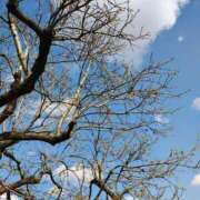 ヒメ日記 2026/03/28 15:19 投稿 りさ 奥様プリモ