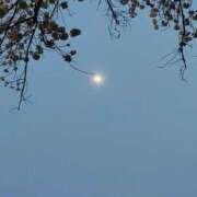 ヒメ日記 2026/03/30 12:09 投稿 りさ 奥様プリモ