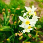 ヒメ日記 2026/04/02 11:09 投稿 りさ 奥様プリモ