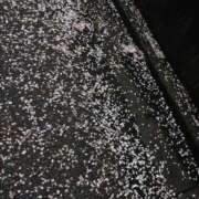 ヒメ日記 2026/04/07 14:09 投稿 りさ 奥様プリモ