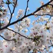 ヒメ日記 2026/04/08 12:19 投稿 りさ 奥様プリモ