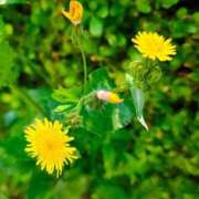 ヒメ日記 2026/04/09 10:09 投稿 りさ 奥様プリモ