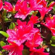 ヒメ日記 2026/04/10 10:19 投稿 りさ 奥様プリモ