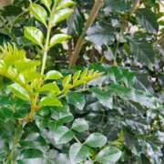 ヒメ日記 2026/04/10 11:19 投稿 りさ 奥様プリモ