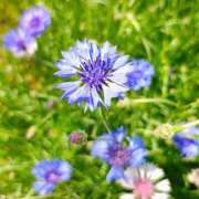 ヒメ日記 2026/04/13 10:09 投稿 りさ 奥様プリモ