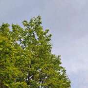 ヒメ日記 2026/04/14 10:19 投稿 りさ 奥様プリモ