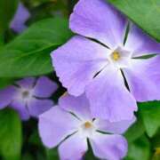 ヒメ日記 2026/04/15 11:19 投稿 りさ 奥様プリモ