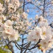 ヒメ日記 2026/04/16 16:19 投稿 りさ 奥様プリモ