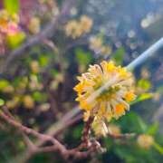 ヒメ日記 2026/04/22 11:09 投稿 りさ 奥様プリモ