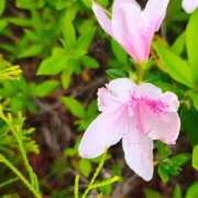 ヒメ日記 2026/04/23 15:19 投稿 りさ 奥様プリモ