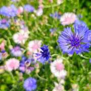 ヒメ日記 2026/04/25 14:09 投稿 りさ 奥様プリモ