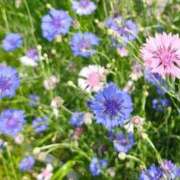 ヒメ日記 2026/04/26 13:19 投稿 りさ 奥様プリモ