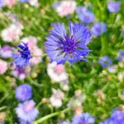 ヒメ日記 2026/04/27 11:09 投稿 りさ 奥様プリモ