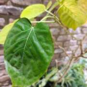 ヒメ日記 2026/04/28 10:09 投稿 りさ 奥様プリモ