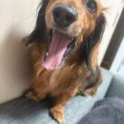 ヒメ日記 2025/08/20 23:50 投稿 みこと 完熟ばなな 上野店