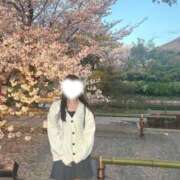 ヒメ日記 2026/04/11 19:26 投稿 七瀬 るな Canx2神戸店
