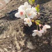 ヒメ日記 2025/03/31 21:04 投稿 しおん クンニ専門店 おクンニ学園 池袋校