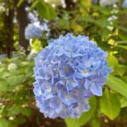 ヒメ日記 2025/06/02 10:55 投稿 しおん クンニ専門店 おクンニ学園 池袋校