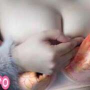 ヒメ日記 2025/03/07 14:30 投稿 白(ましろ) 人妻城 横浜本店